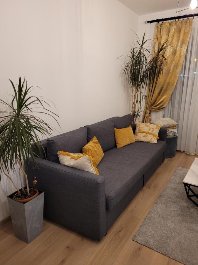 4Qualis Apartment Brasov Exterior photo